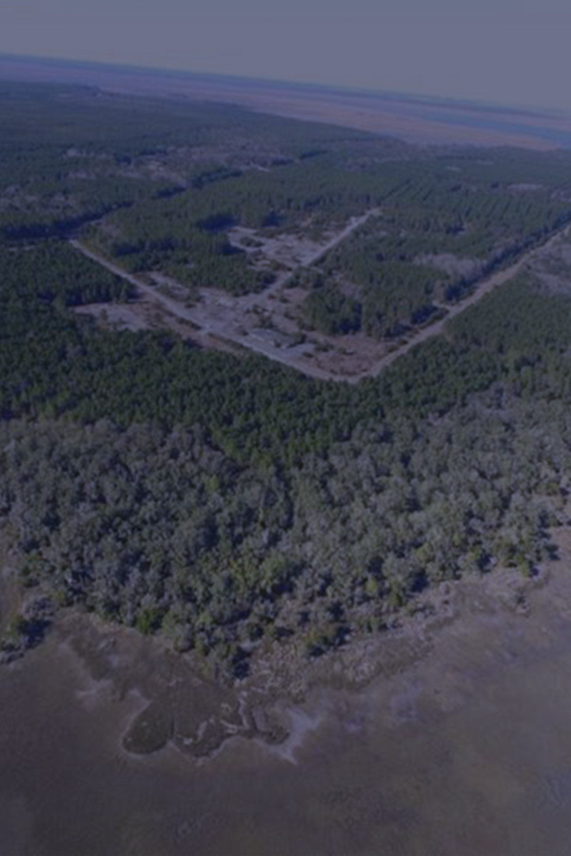 sky view looking down onto green terrain with an area with buildings in the center