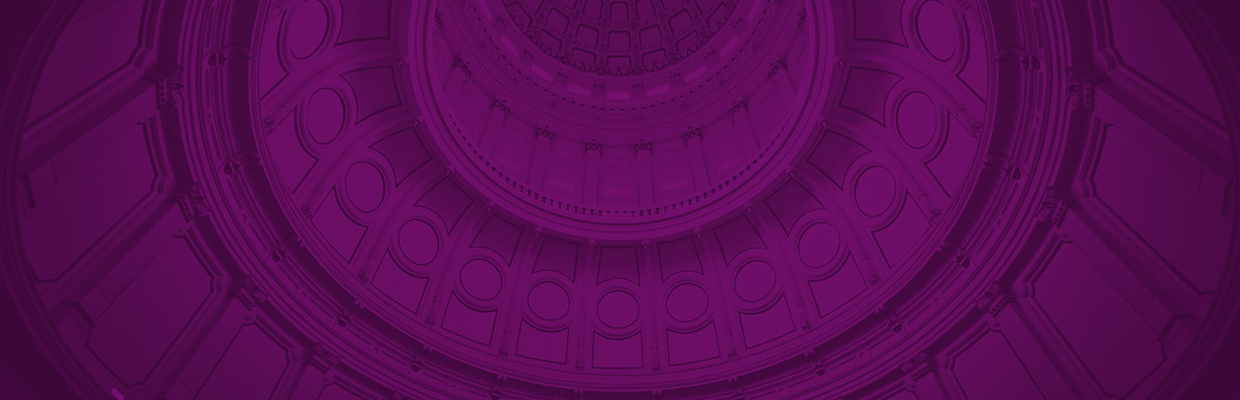 image of the inside of a domed ceiling with a purple overlay