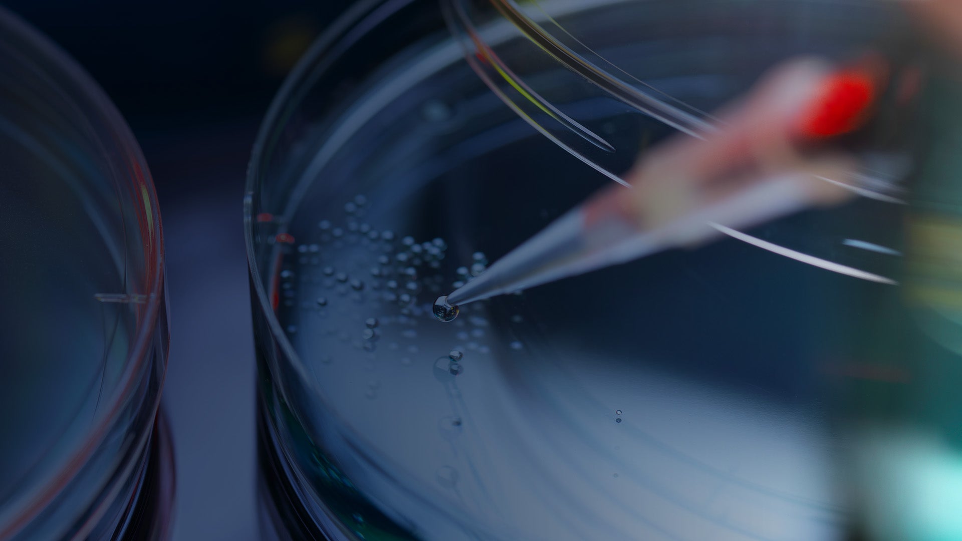 Close-up of a pipette dispensing liquid into a petri dish with droplets, representing biomedical research and health sciences.